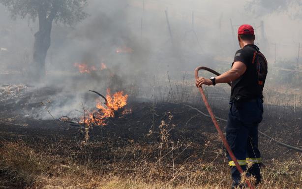 Βοιωτία: Στις φλόγες αγροτοδασική έκταση στην Αγία Τριάδα – Επιχειρούν και εναέρια μέσα