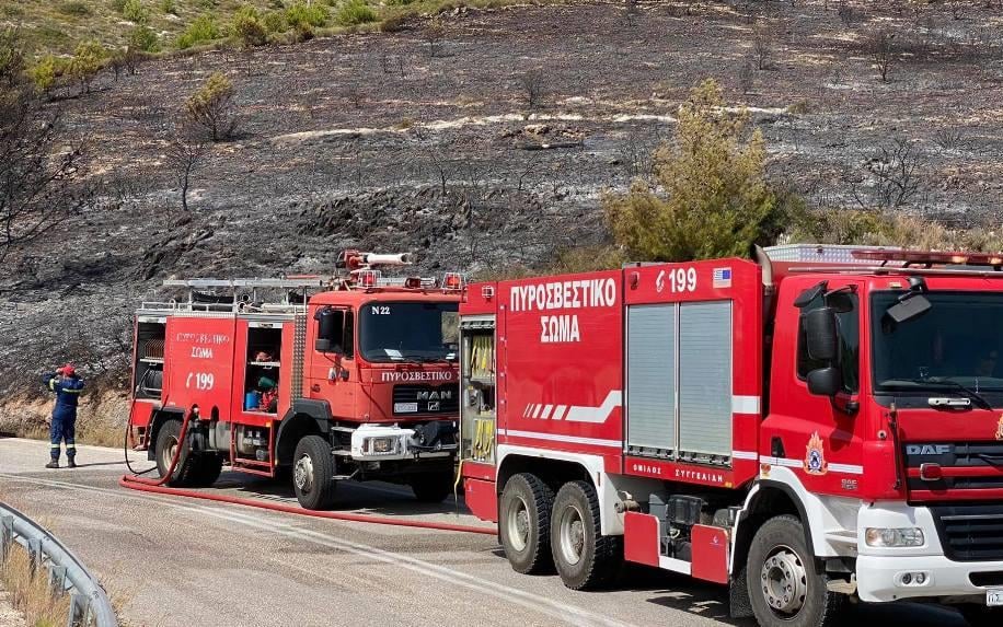 Μαραθώνας: Έβαλε φωτιά σε 4 εστίες – Σύλληψη 21χρονης για εμπρησμό