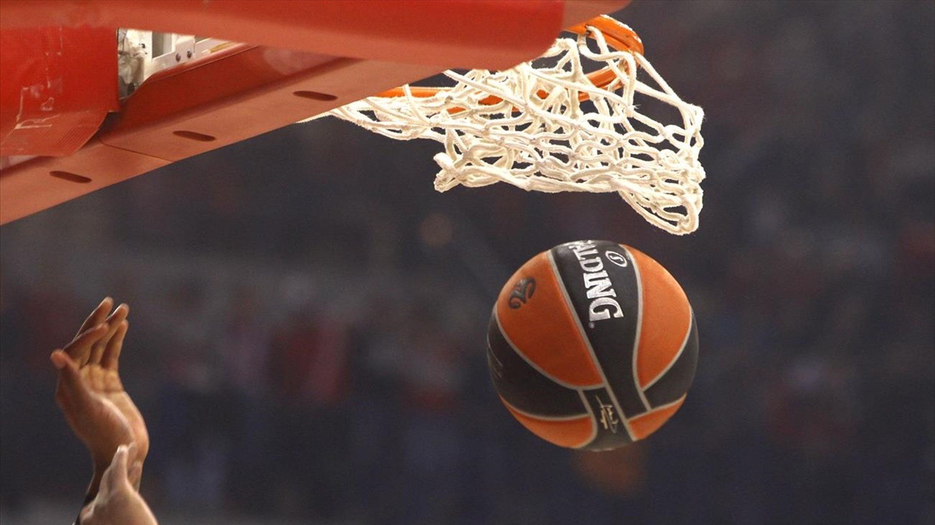 Euroleague: 20 ομάδες με τη συμμετοχή Ντουμπάι, Βαλένθια και Χάποελ