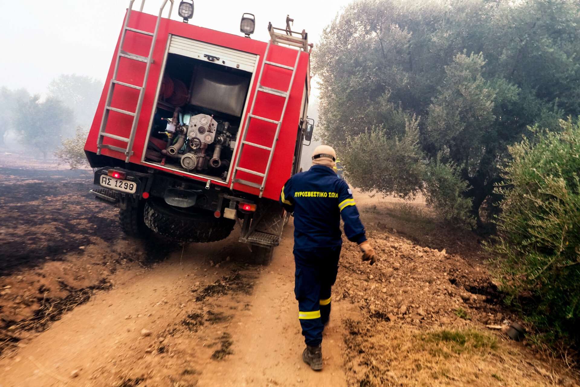 Calavrita: Incendiu în zona Cleitoriei  