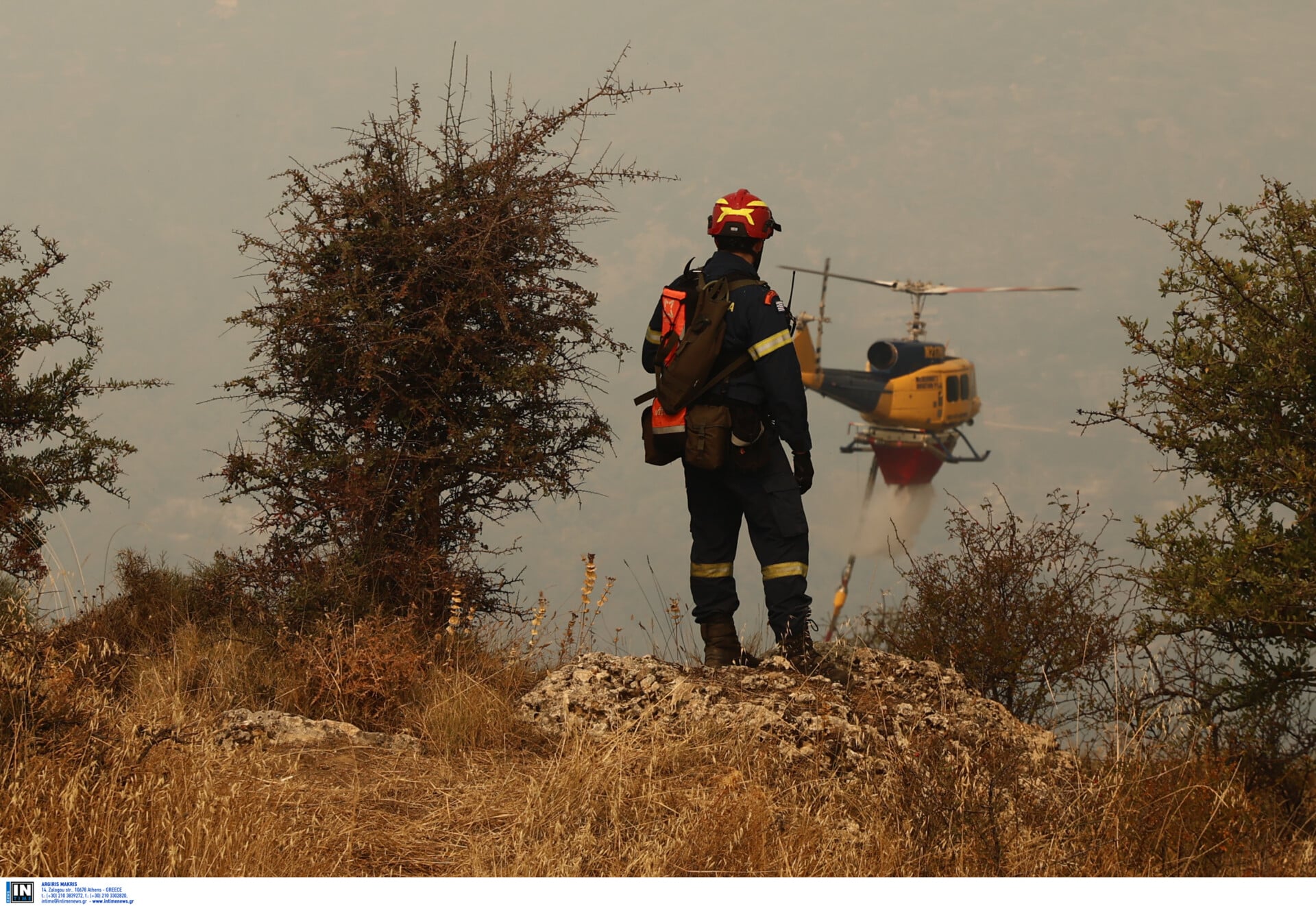Απαγόρευση κυκλοφορίας σε δασικές περιοχές της Κασσάνδρας και της Σιθωνίας, λόγω υψηλού κινδύνου πυρκαγιάς