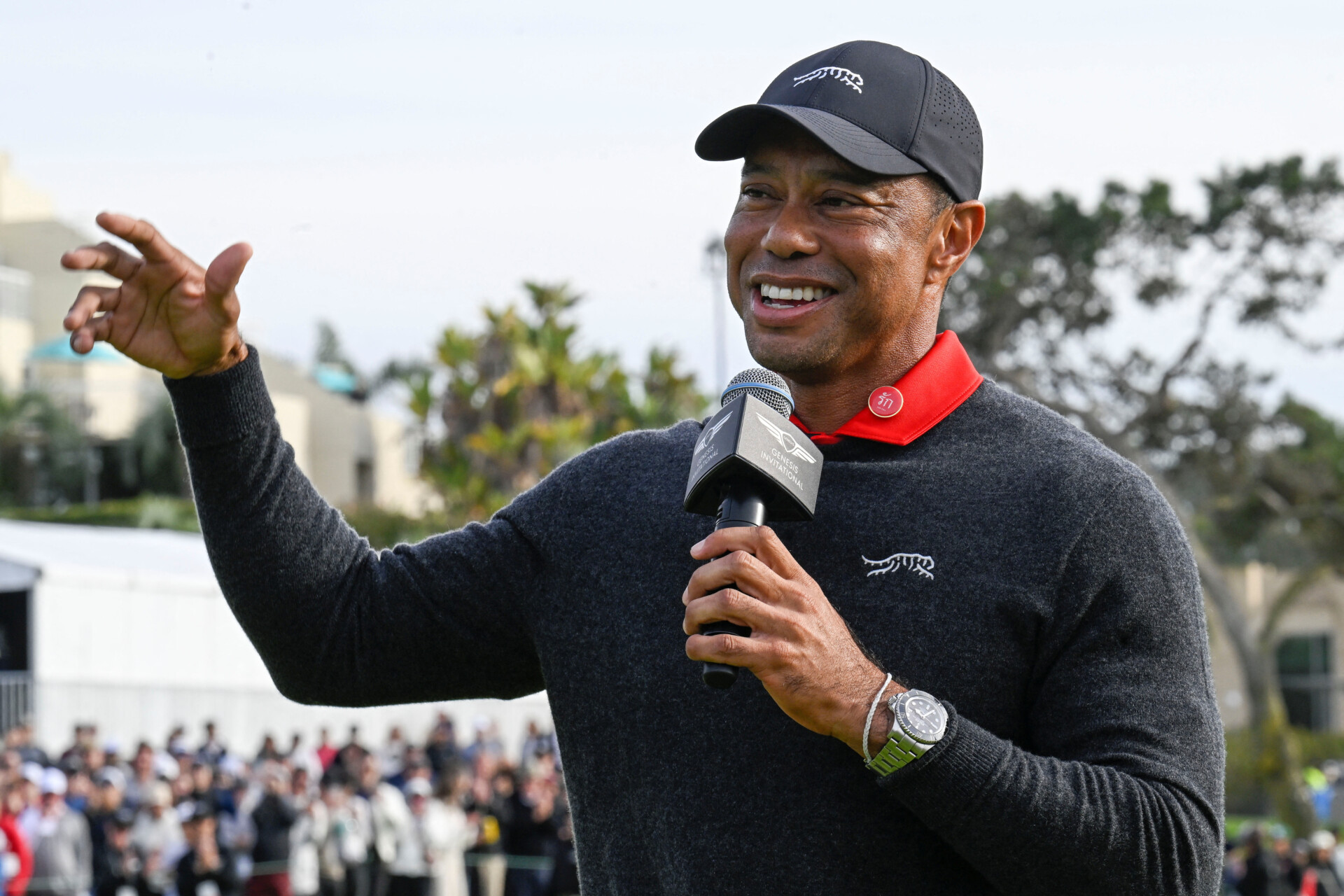 Ruperea lui Ahile pentru Tiger Woods  