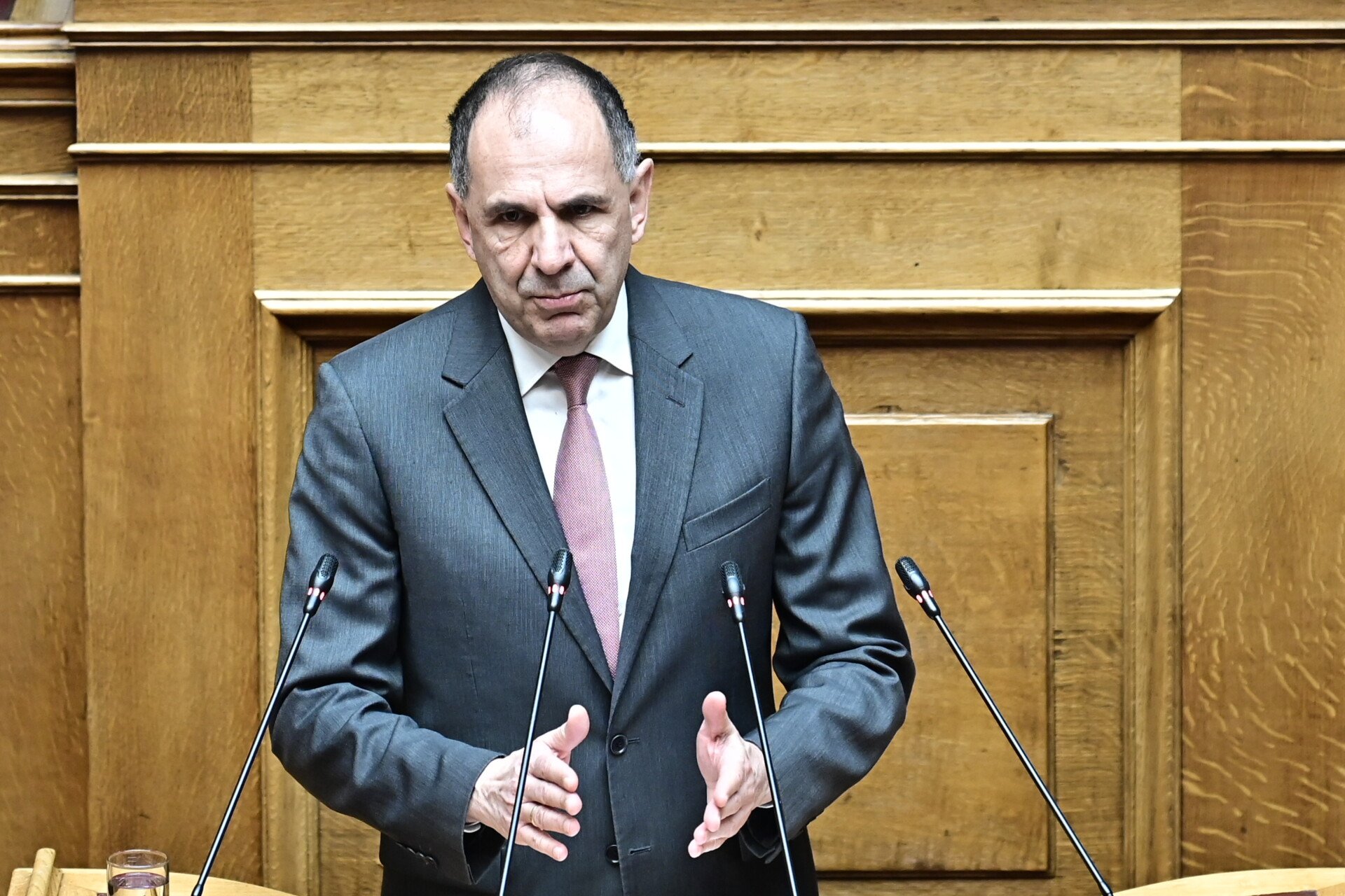 Γ. Γεραπετρίτης: «Ο φιλελληνισμός ταυτίζεται με το να είμαστε φιλο-Παλαιστίνιοι. Εμείς είμαστε υπέρ του ανθρωπισμού»