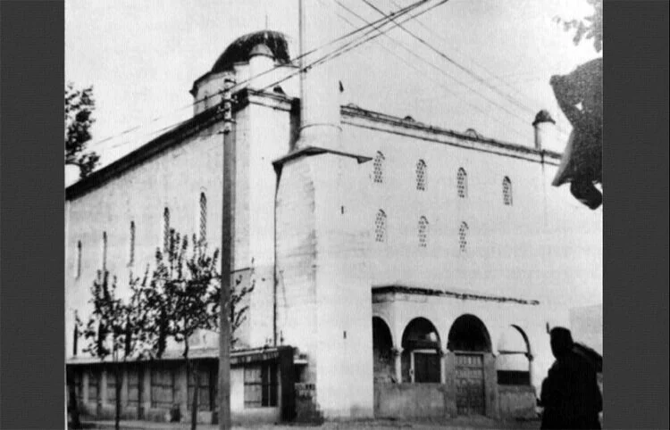Μαρτυρία Θεόδωρου Βασιλειάδη: Καθίσαμε έναν μήνα στο δάσος, από τα έλη πίναμε νερό