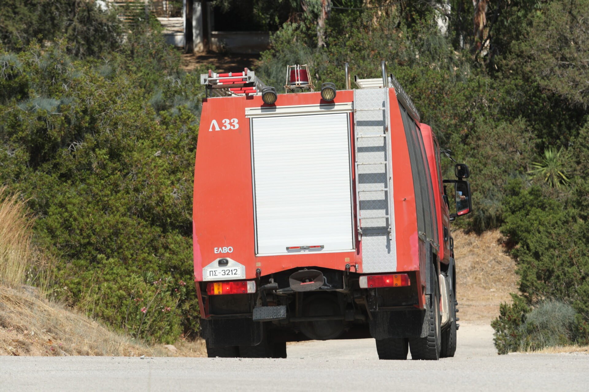 Αχαΐα: Φωτιά σε Ριγανόκαμπο και Ερύμανθο – Μεγάλη κινητοποίηση της Πυροσβεστικής