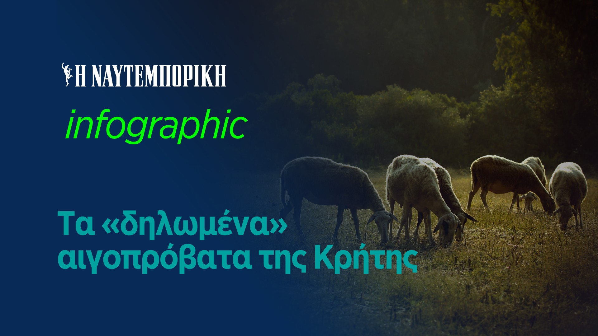 Τα «δηλωμένα» αιγοπρόβατα της Κρήτης