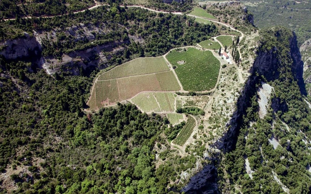 Ζήσαμε δύο μέρες στους Δρόμους του Κρασιού Πελοποννήσου