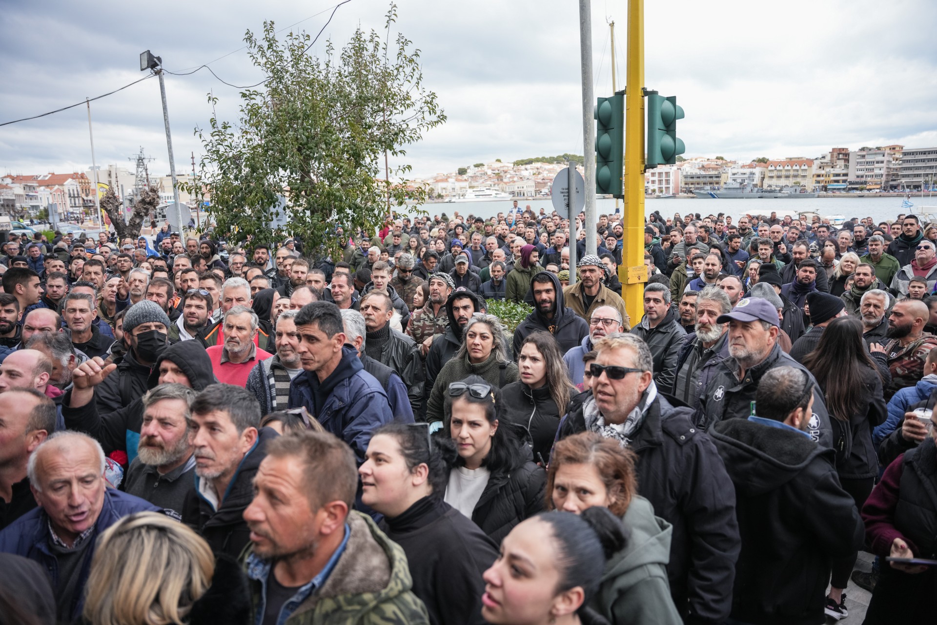 Αφθώδης πυρετός: Έναν μήνα η καραντίνα στη Λέσβο και το ΥπΑΑΤ ακόμα αναζητά σχεδιασμό διαχείρισης