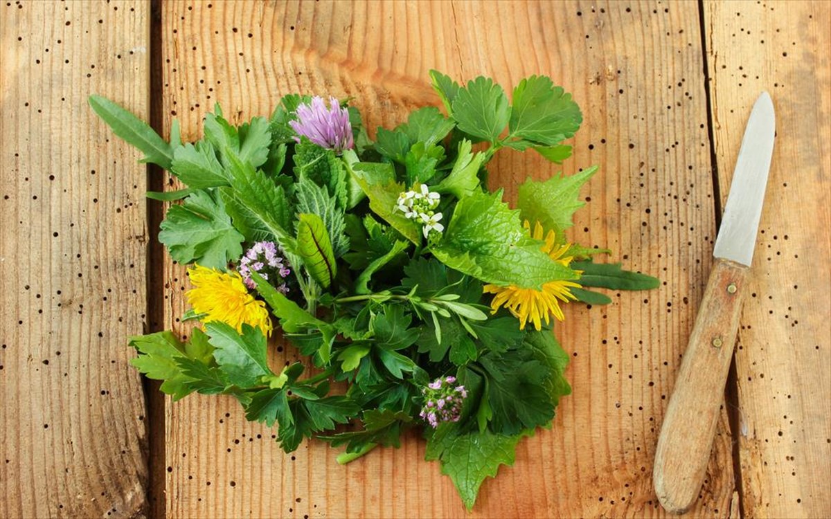 Το «ζιζάνιο» που έγινε superfood: Τι πραγματικά ισχύει για το ταραξάκο