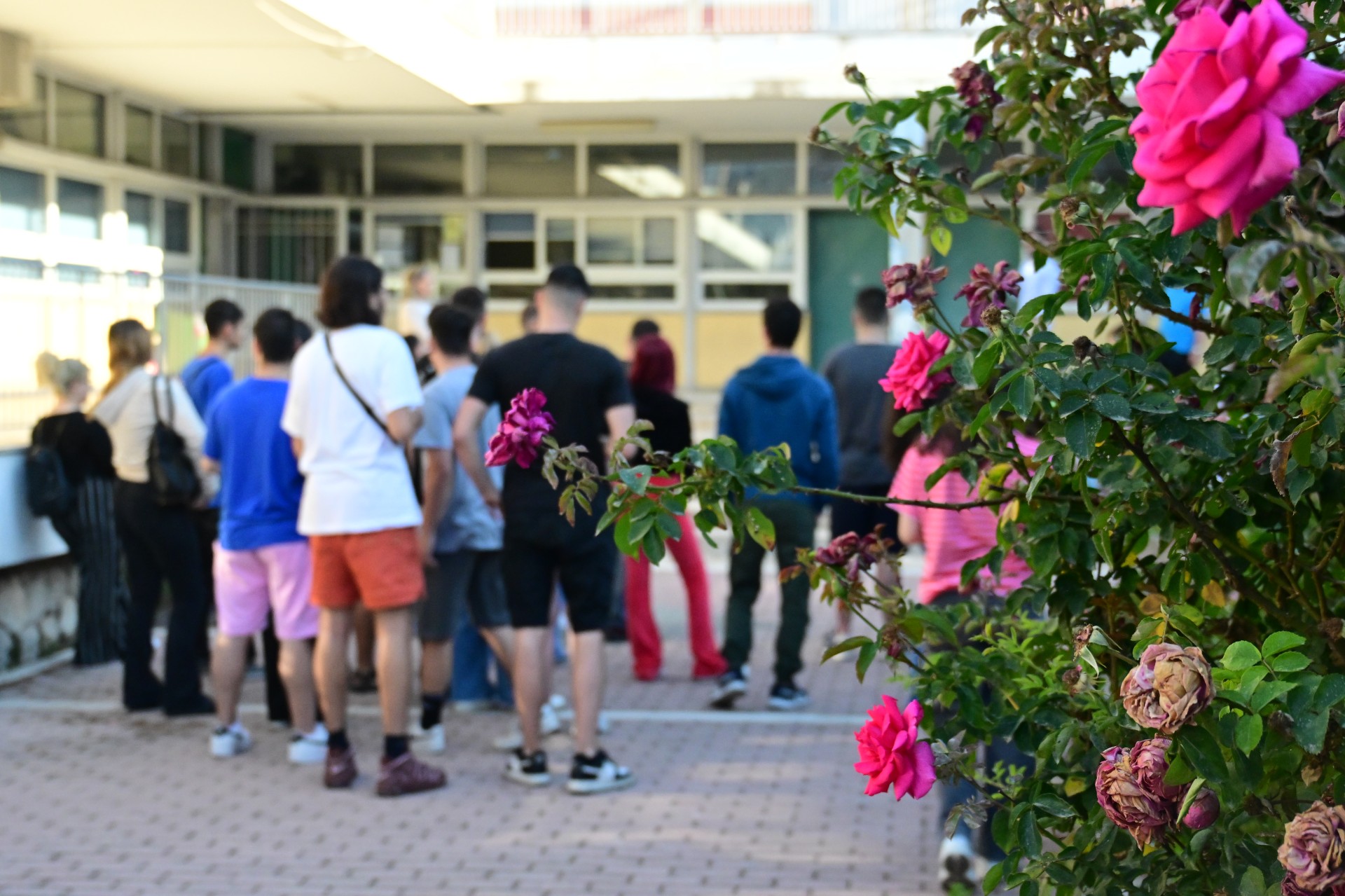 Προφορικές εξετάσεις στις Πανελλαδικές: Τι πρέπει να γνωρίζουν οι μαθητές
