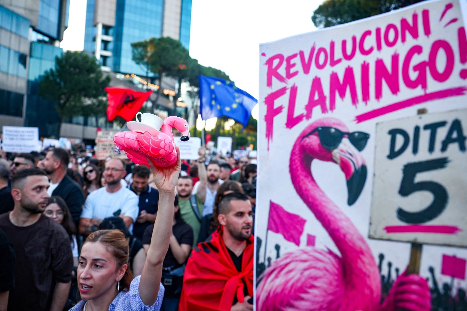 «Επανάσταση των φλαμίνγκο»