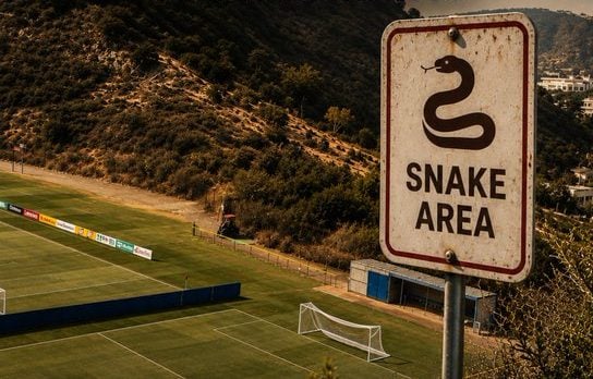 Μουντιάλ 2026: Απρόσκλητοι «επισκέπτες» στην προετ
