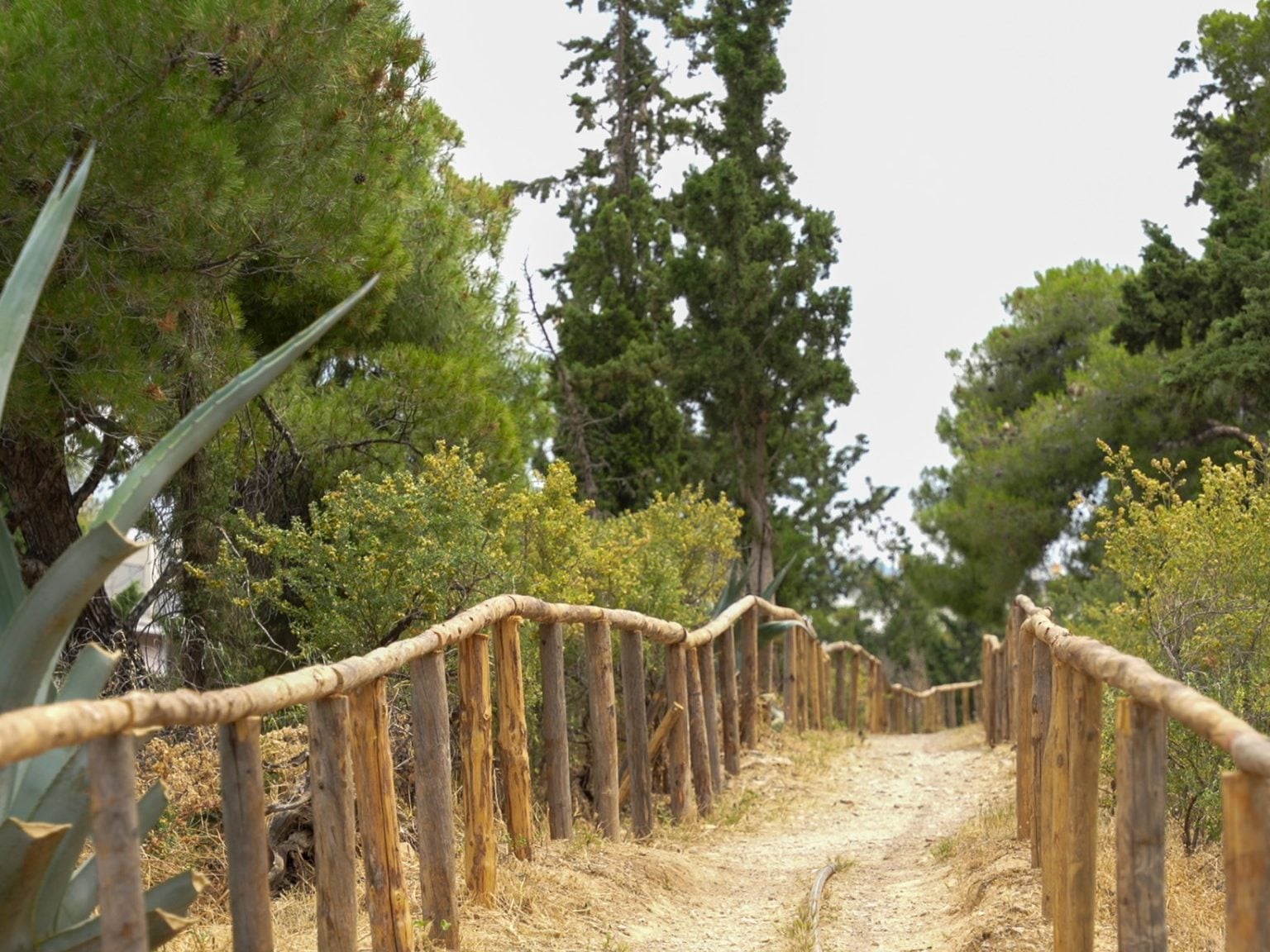 Δήμος Αθηναίων: Εργασίες ανάπλασης στον λόφο Λυκαβηττού με τ