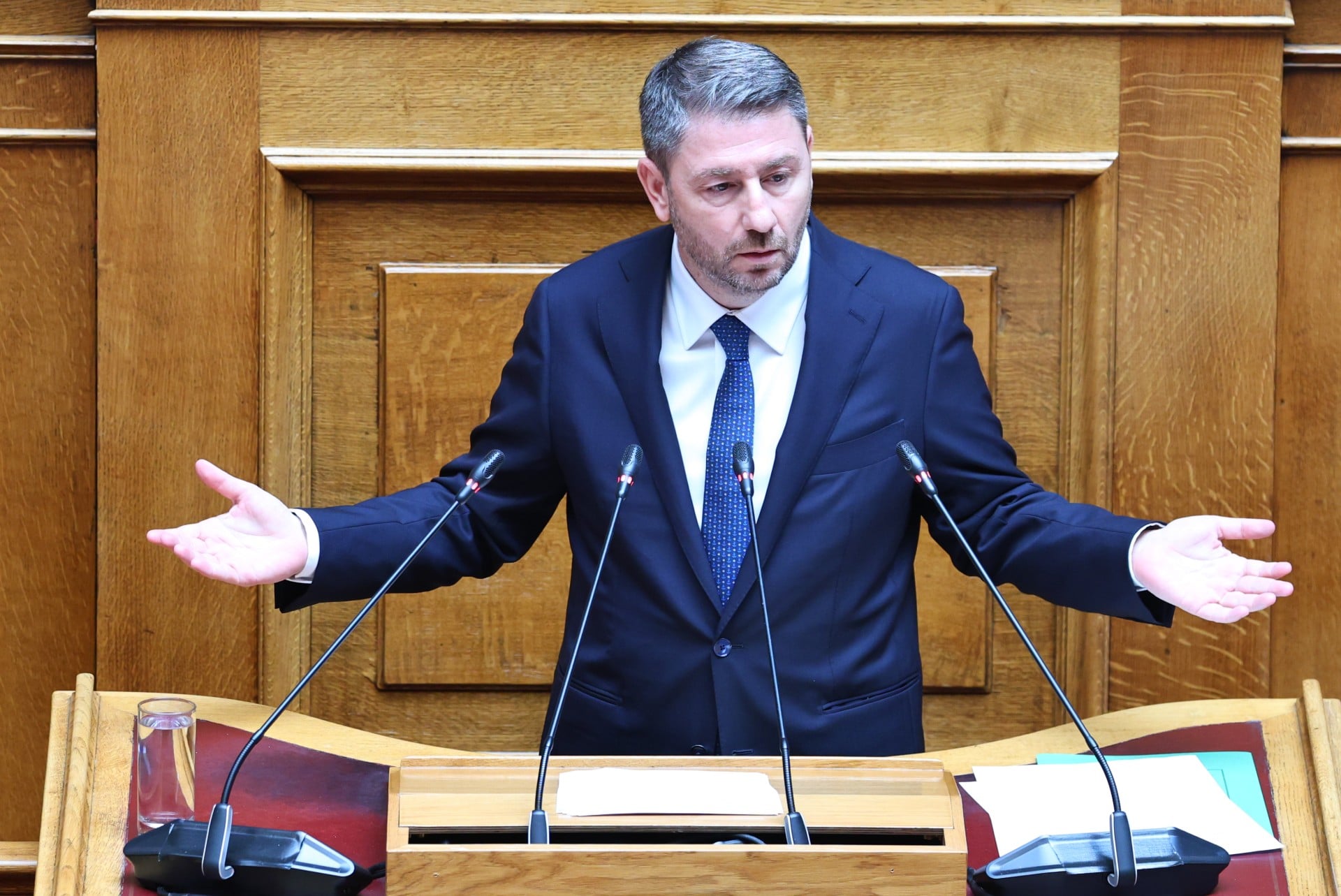 Ν.Ανδρουλάκης: Η συνταγματική αναθεώρηση απαιτεί σοβαρότητα 