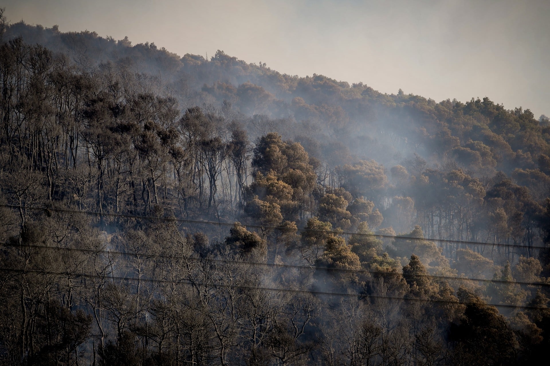 Κάμπος Παραμυθιάς: Χωρίς ενεργά μέτωπα και οι δύο εστίες πυρκαγιάς