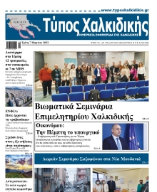 ΤΥΠΟΣ ΧΑΛΚΙΔΙΚΗΣ