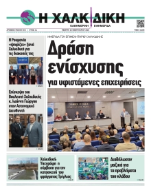 ΧΑΛΚΙΔΙΚΗ