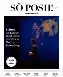 SO POSH THE TREND LETTER