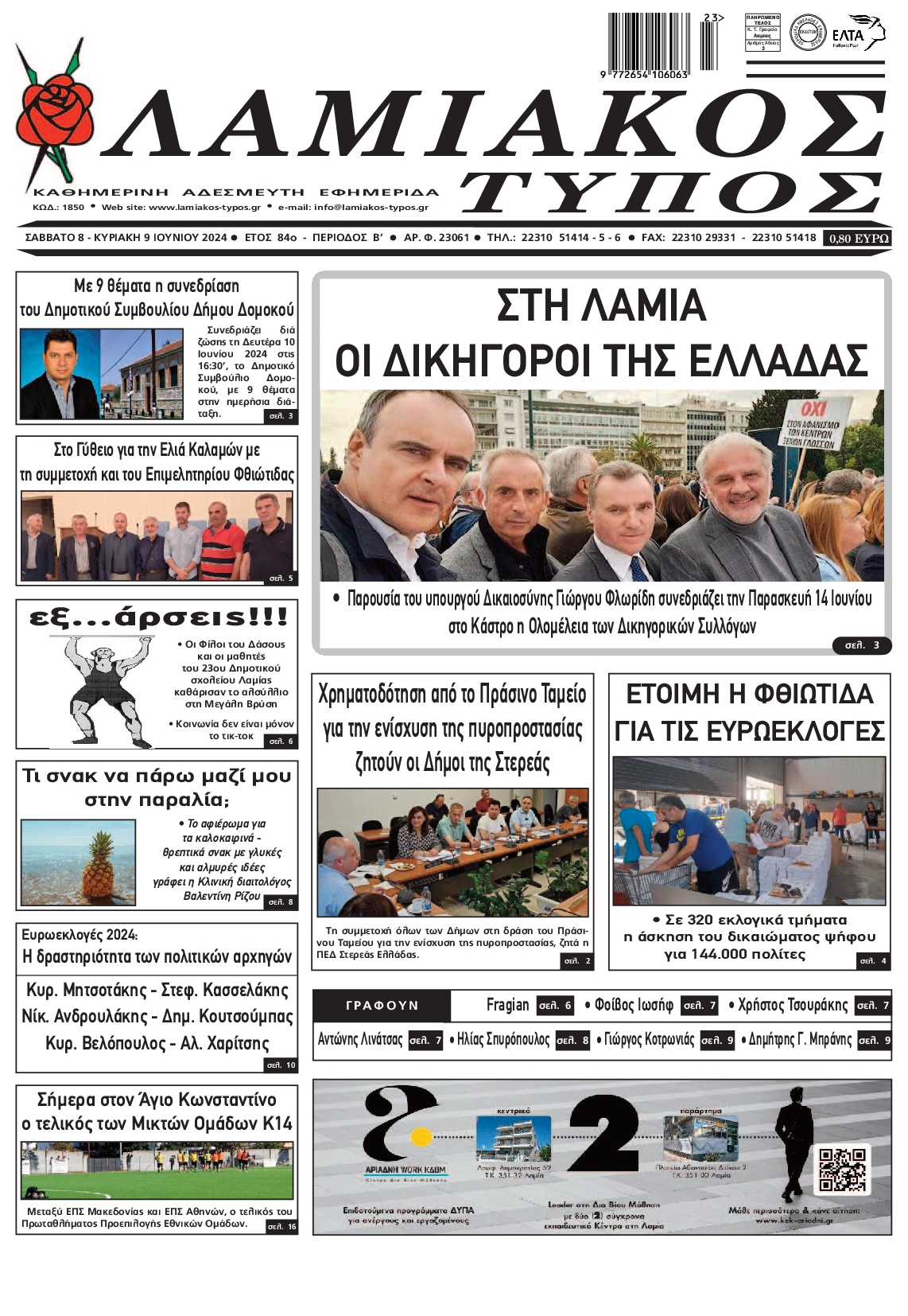 ΛΑΜΙΑΚΟΣ ΤΥΠΟΣ