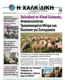 ΧΑΛΚΙΔΙΚΗ