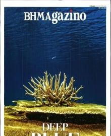 ΤΟ ΒΗΜΑ ΚΥΡΙΑΚΗΣ_ΒΗΜΑGAZINO