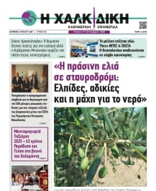 ΧΑΛΚΙΔΙΚΗ